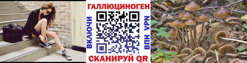 Галлюциногенные грибы Magic Shrooms blacksprut вход Адыгейск продажа наркотиков